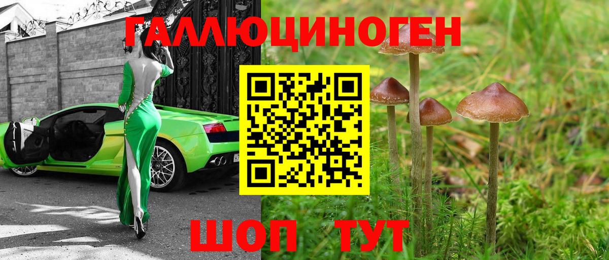 Галлюциногенные грибы мицелий Кизилюрт
